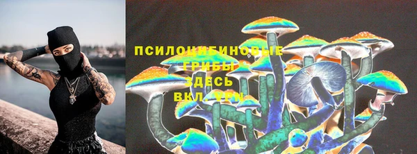 ешки Гусев