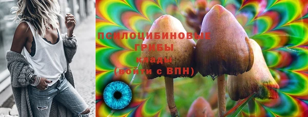 ALPHA PVP Гусь-Хрустальный