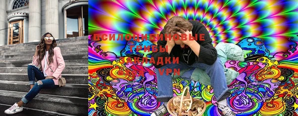 прущая мука Гусиноозёрск